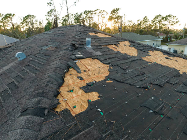 Best Roof Leak Repair  in Arvada, CO